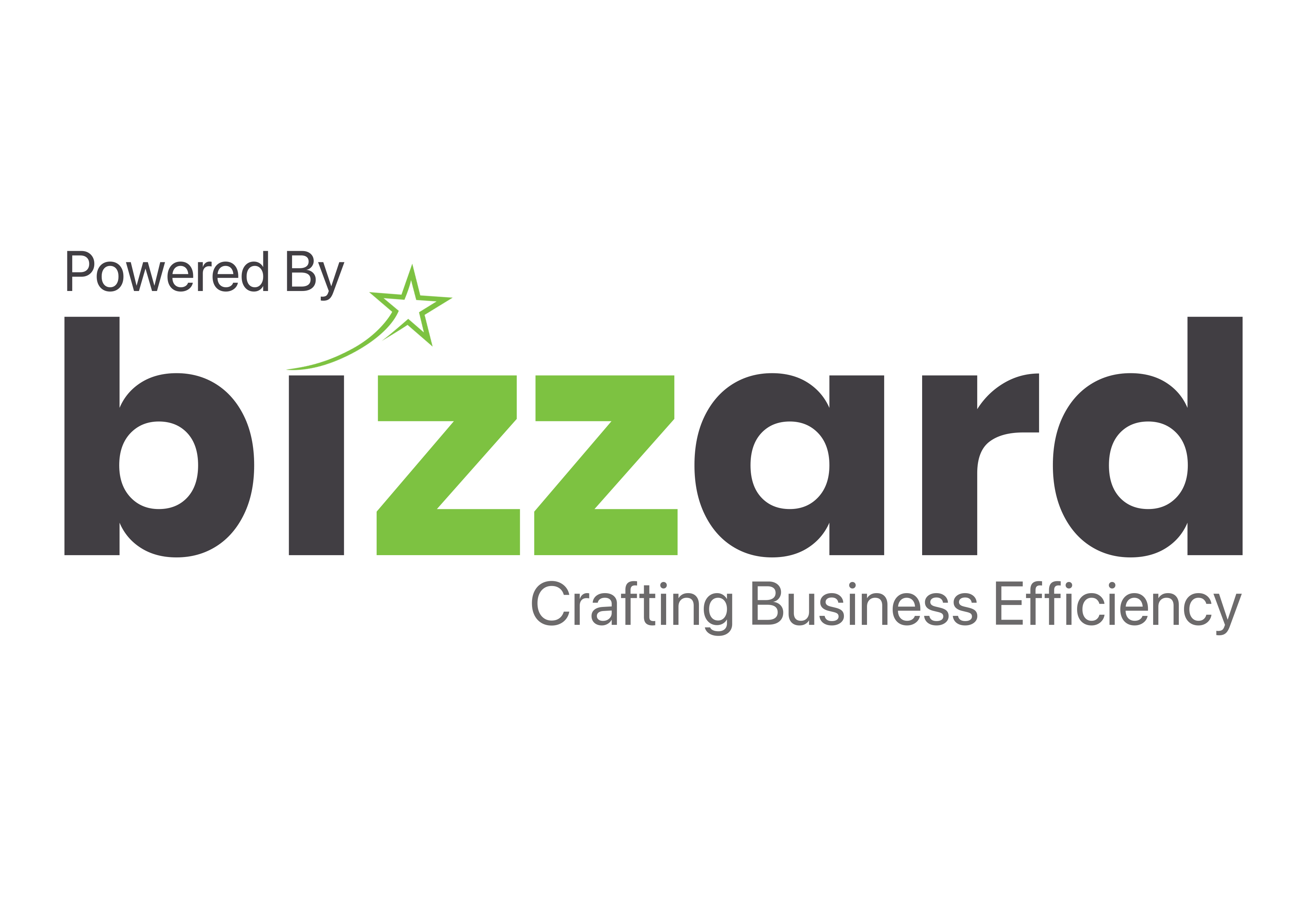 Bizzard